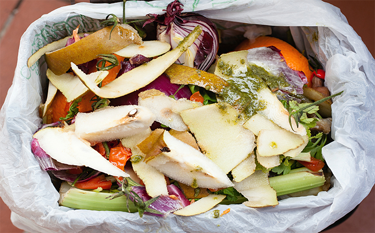 six-solutions-to-food-waste-plus-what-you-can-do-at-home-positive-news